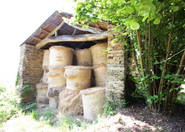 MG-7317-64b19aa32d9bc