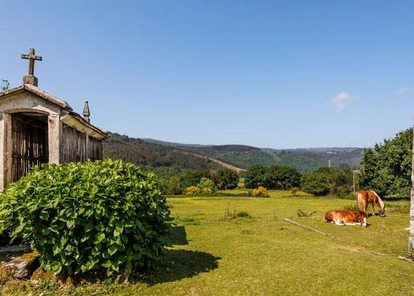  Galicia, Lugo, Ourol, pueblo, vista sobre campos