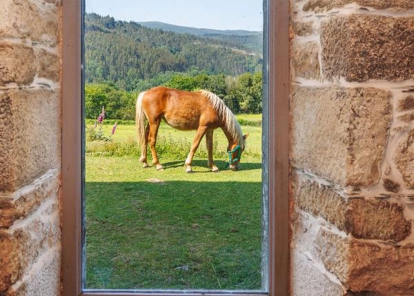 Galicia, Lugo, Ourol, pueblo, caballo desde ventana