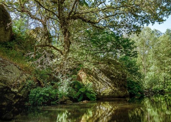 1030- Galicia, La Coruña, Cesures, Casa de campo, piscina natural 1