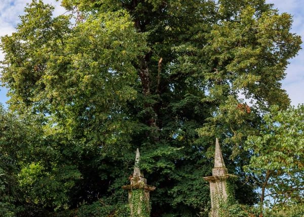 Galicia, Lugo, Sarria, country house, gate posts