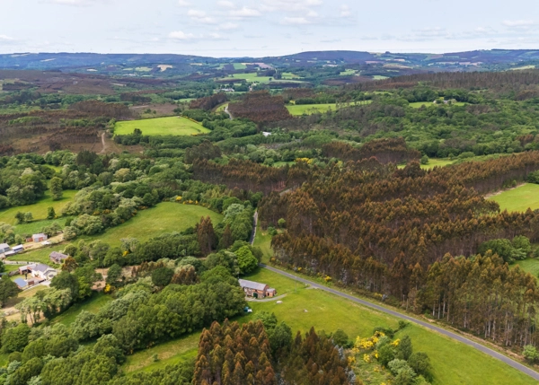DJI-20250603125130-0086-D-retocada-68480faa4b5f9
