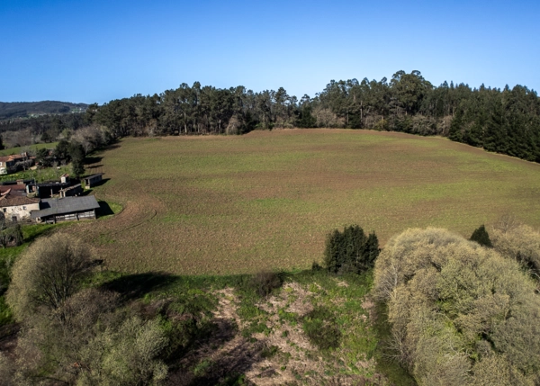 1255- Galicia, Coruña, Abegondo, farm, fields