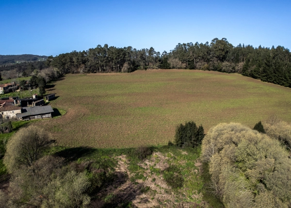 1255- Galicia, Coruña, Abegondo, granja, campos