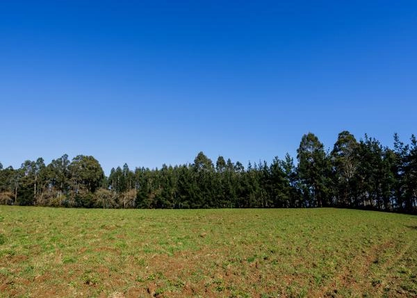  Galicia, La Coruña, Abegondo, granja, campos