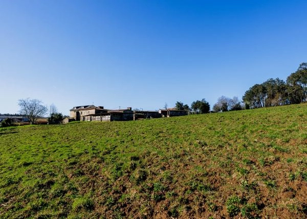 Galicia, La Coruña, Abegondo, granja, campos 3