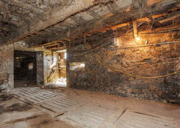 Galicia, La Coruña, Abegondo, granja, nave vacas