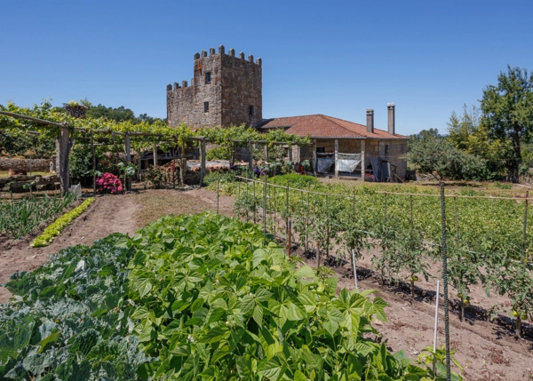 1257-Galicia, Ourense, Lamela, casa de campo, vista desde jardines