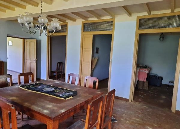 20210418-123021-64b143d81a0d0-comedor