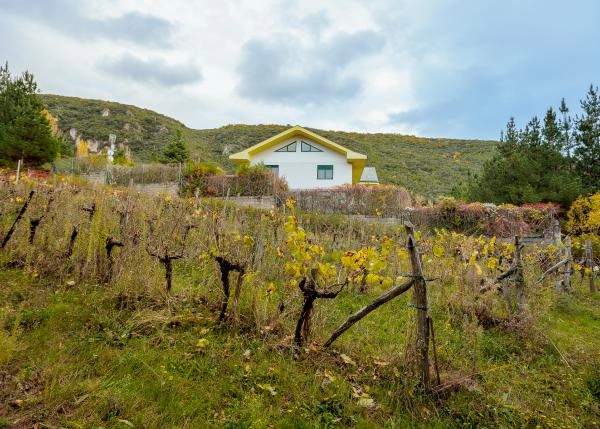 Leon, El Bierzo, country house, vineyards