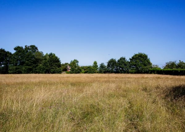 Galicia, Lugo, Outeiro de Rei, finca