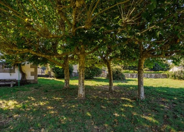 Galicia, Lugo, Outeiro de Rei, frutales