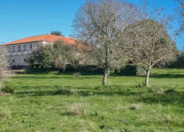 2-2-venta-pazo seen from garden