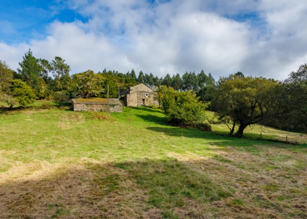 100-1420-6915e106b2ff2