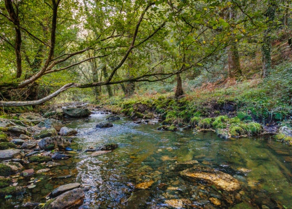 107-1420-6915e138dfc49