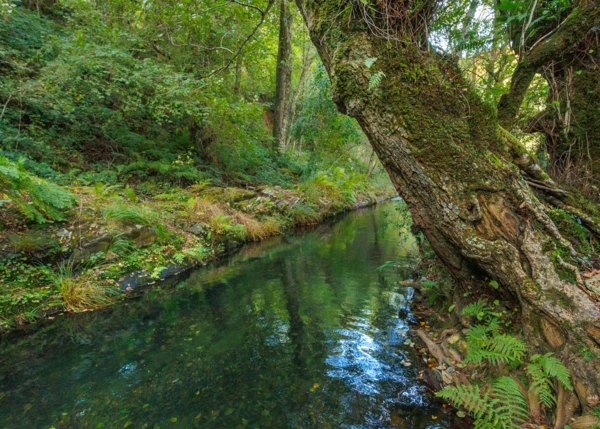 110-1420-6915e1587bede