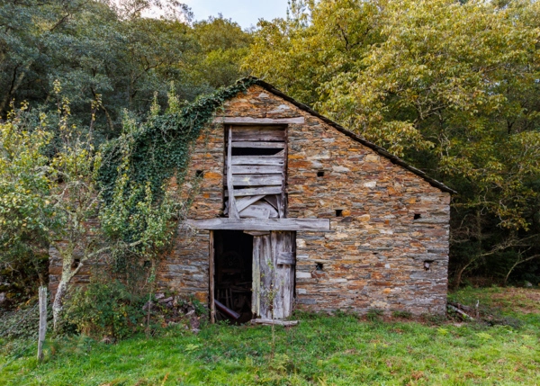 113-1420-6915e167b0e3b