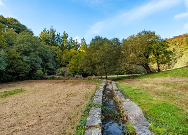 119-1420-6915e1aebb35e