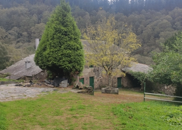1420-Galicia, Lugo, Muras, casa de campo, vista de finca