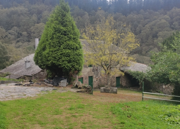 1420-Galicia, Lugo, Muras, country house, view from top of land