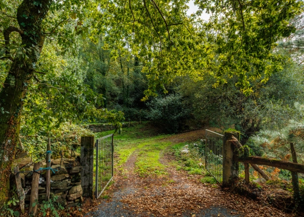 16-1420-6915dfe883c6e