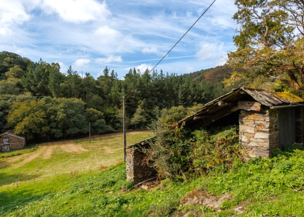 38-1420-6915e03653b09