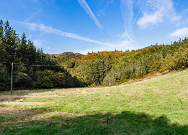 99-1420-6915e10138452