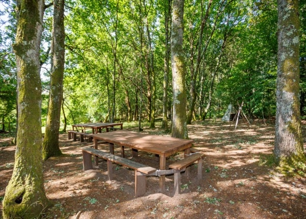 Galicia, Ourense, Barra, tables in the woods