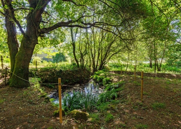 GCH-1447-Exteriores-57-64c803262a799