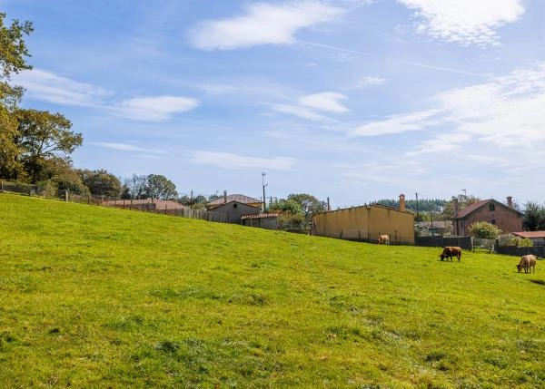 Galicia, Coruña, Toques Country house, fields 2