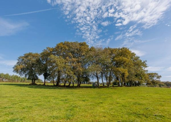  Galicia, Coruña, Toques, Country house, fields 3