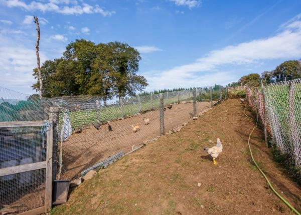 Galicia, Coruña, Toques, country house, chicken run