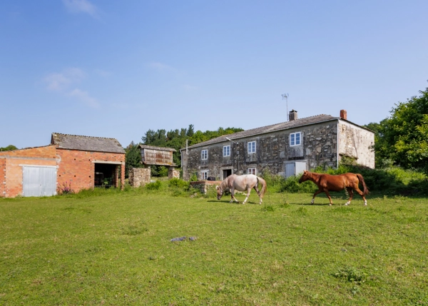 19-1485-6853f3e0605a8