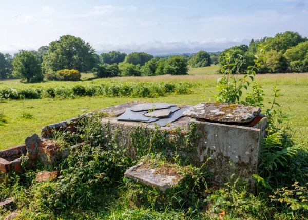 20-1485-6853f3e54ecdb