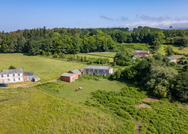 4-1485-6853f359ba659