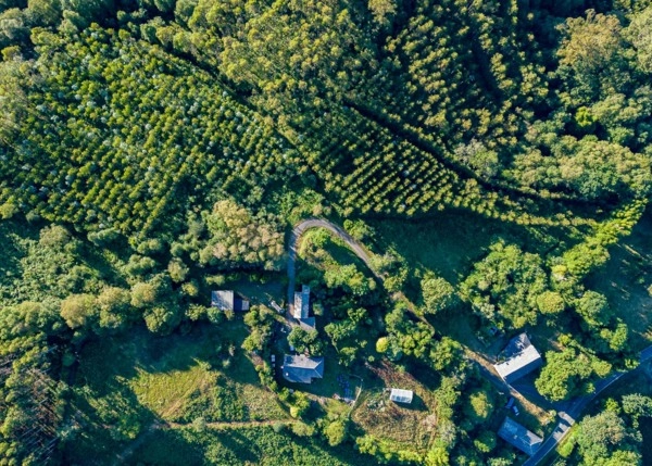 GCH-1530-As-Somozas-Ext-23-64af04f29da97