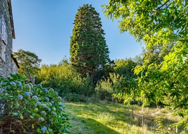 GCH-1530-As-Somozas-Ext-9-64af04b142c92