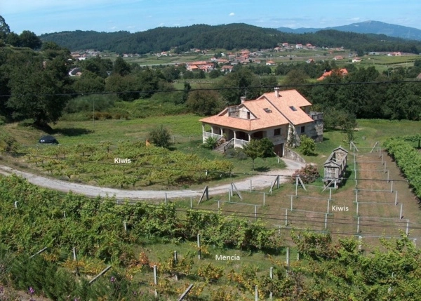1554- Galicia, Pontevedra, Mies, casa de campo vista area