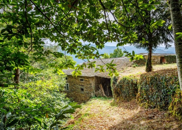 GCH-1577-La-muria-Ext-60-64ad8d8097b68