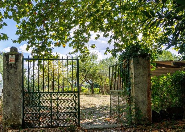  Galicia, Lugo, Monforte, vineyard,  entrance