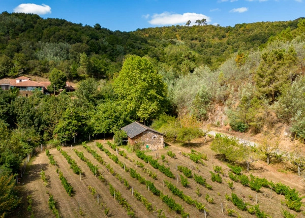 GCH-1587-Vinedo-Monforte-51-64ad83c56edf2