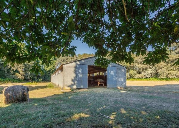 Galicia, Lugo, Outeiro de Rei, cattle house 1