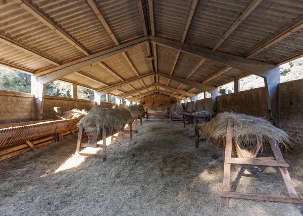 Galicia, Lugo, Outeiro de Rei, cattle house 2