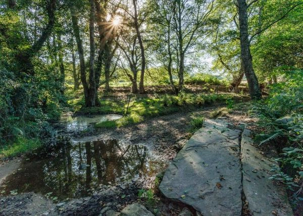 Galicia, Lugo, Outeiro de Rei, little stream