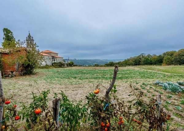 1600-Galicia, Lugo, Chantada, casa de campo, campo