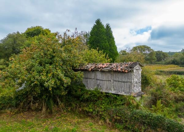 Galicia, Lugo, Palas de Rei, casa de campo horreo