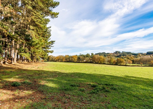 GCH-1610-Granja-168-64e099d471cdc