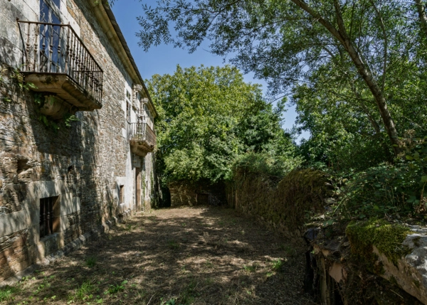 113-1611-68a5a20c36576