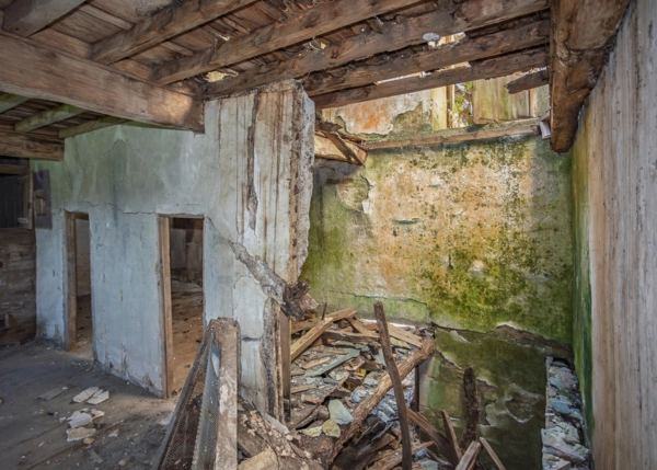 55-1611-68a5a052c2a11