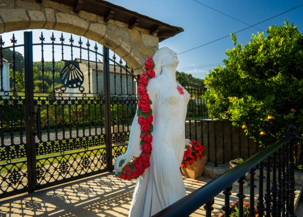 1616-12-64ad3a746001e